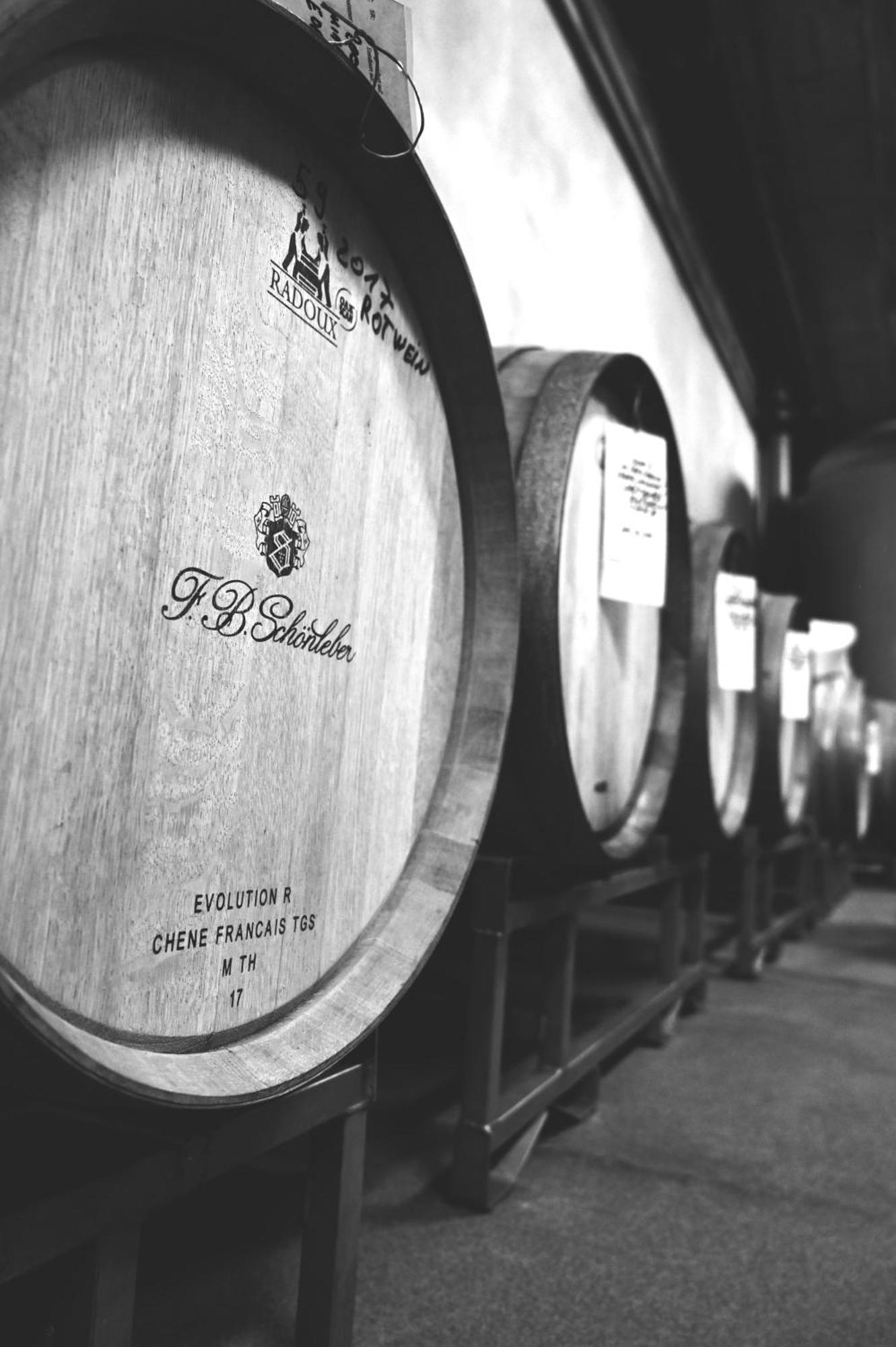 Wein- Und Sekthaus F.B.Schoenleber Йострих-Винкел Екстериор снимка